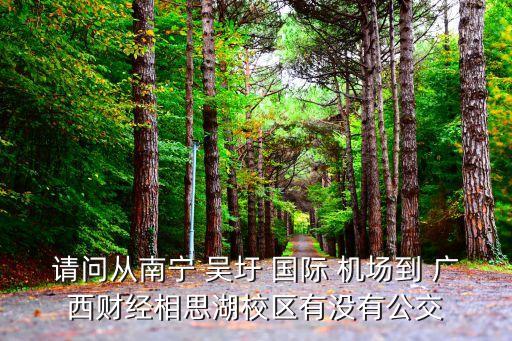 请问从南宁 吴圩 国际 机场到 广西财经相思湖校区有没有公交