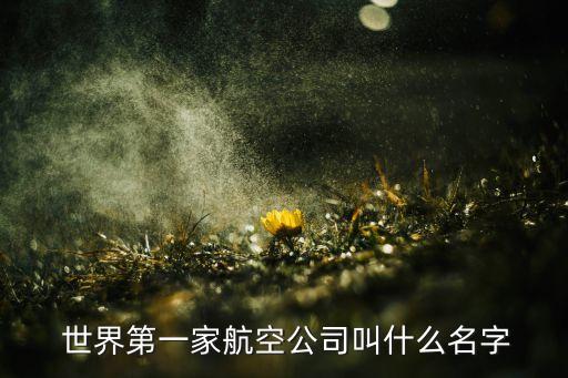  世界第一家航空公司叫什么名字