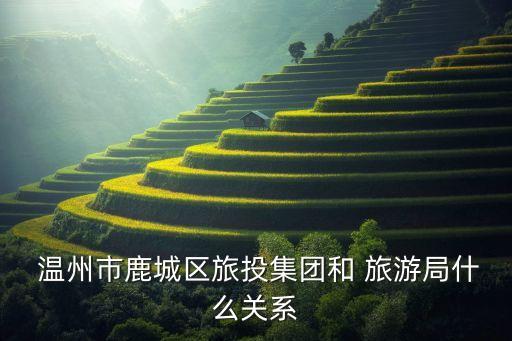  温州市鹿城区旅投集团和 旅游局什么关系