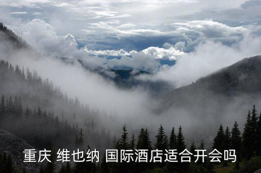 重庆 维也纳 国际酒店适合开会吗
