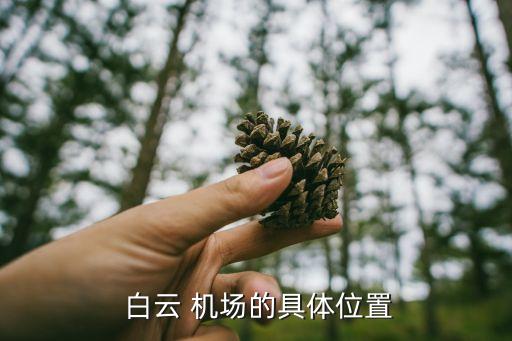 新白云国际机场兰田坝机场,广州白云国际机场有何亮点?