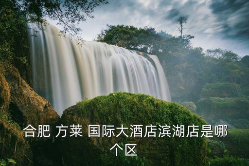  合肥 方莱 国际大酒店滨湖店是哪个区