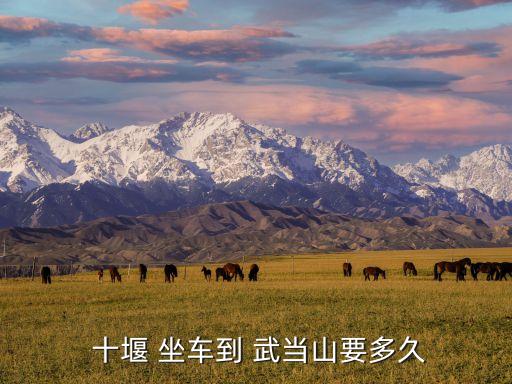 十堰到武当国际滑雪场怎么坐车,十堰到武当山一个多小时到达