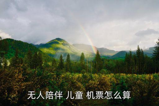 无人陪伴 儿童 机票怎么算
