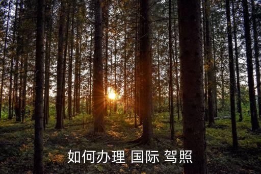 如何办理 国际 驾照