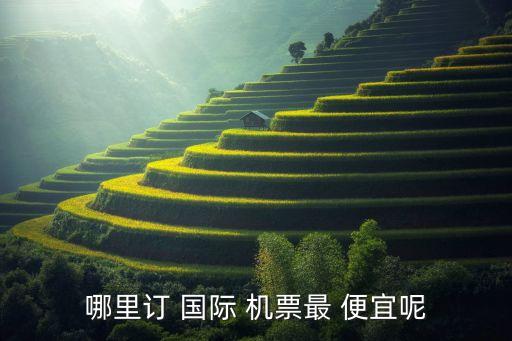 便宜机票 国际,机票实名制登记制订票需出示证件