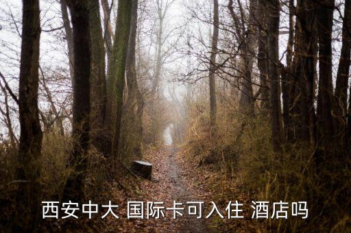 西安中大 国际卡可入住 酒店吗