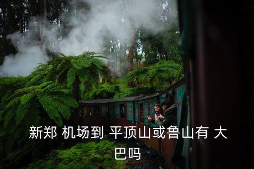  新郑 机场到 平顶山或鲁山有 大巴吗