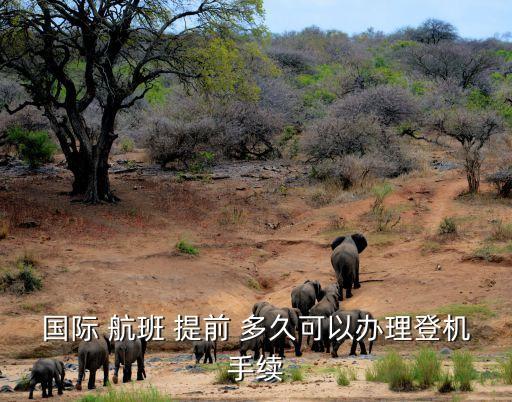 长沙国际航班提前多久登记,如何在武汉机场取登机牌?