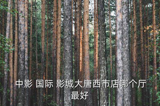  中影 国际 影城大唐西市店哪个厅最好