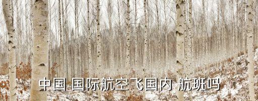 中国 国际航空飞国内 航班吗