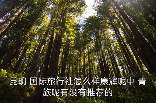 云南国际 青旅,云南十家著名旅行社排名出炉