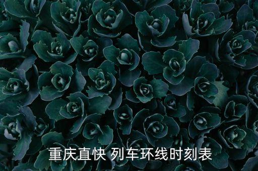 重庆有国际列车吗,重庆地铁zhikuai列车服务时间表