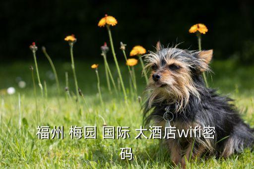 福州 梅园 国际 大酒店wifi密码
