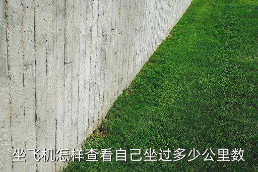 如何查询国际航空里程,国航知音网站可查询特约商户优惠信息