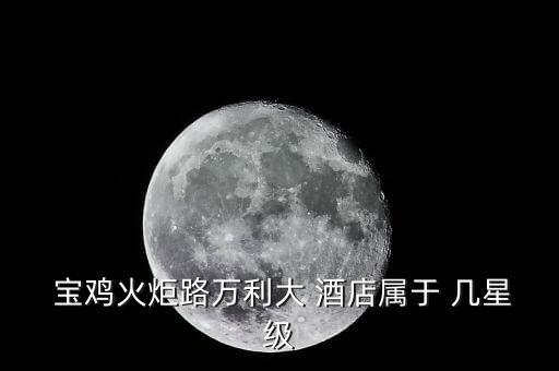  宝鸡火炬路万利大 酒店属于 几星级