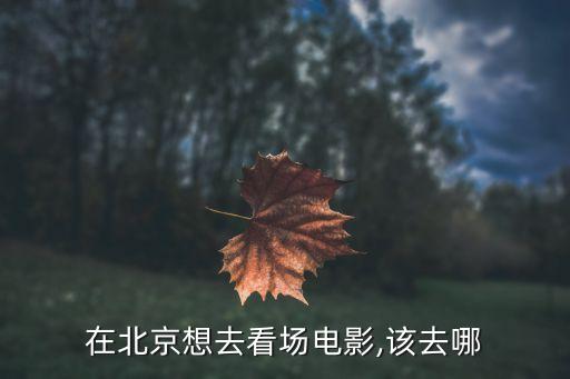 分钟寺星美国际影城电话,花都目前有四家电影院