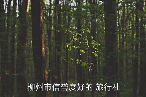  柳州市信誉度好的 旅行社