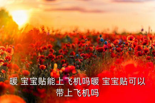 暖 宝宝贴能上飞机吗暖 宝宝贴可以带上飞机吗