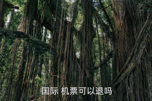  国际 机票可以退吗