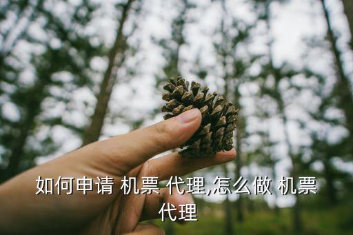 如何申请 机票 代理,怎么做 机票 代理