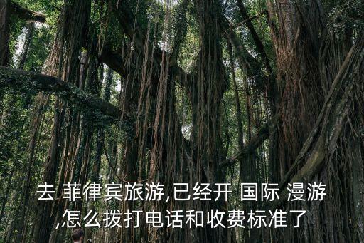 去 菲律宾旅游,已经开 国际 漫游,怎么拨打电话和收费标准了