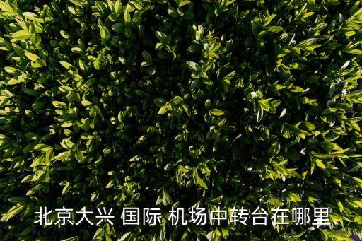  北京大兴 国际 机场中转台在哪里