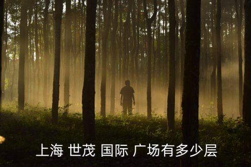  上海 世茂 国际 广场有多少层