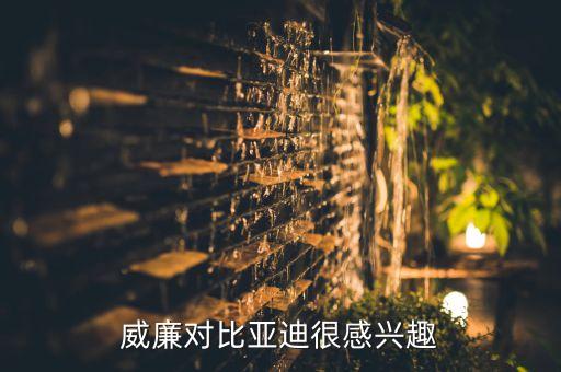 威廉对比亚迪很感兴趣