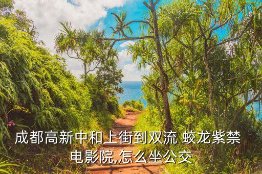 蛟龙国际电影城vip,紫晶电影城前街站和198路公交车站