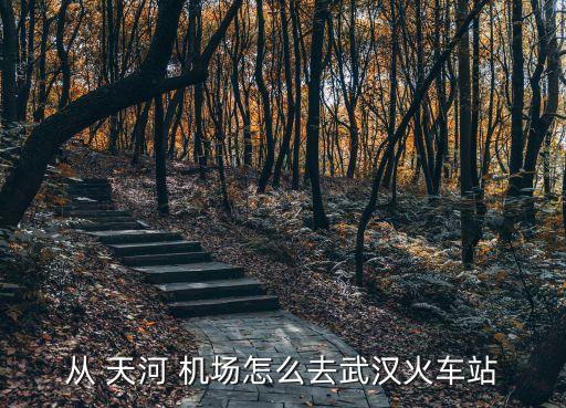 天河国际机场到武汉市里,从天河机场坐地铁到武汉站需要多久?