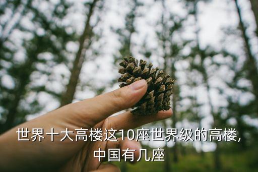 平安国际酒店 二楼,上海环球金融中心位于上海南汇