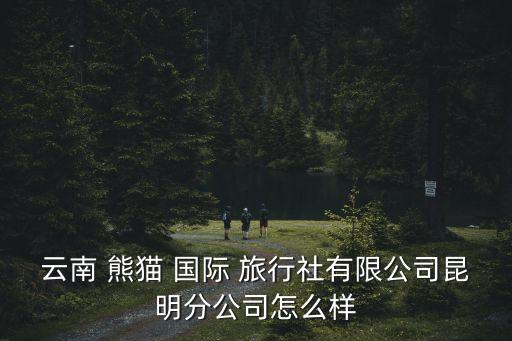 云南 熊猫 国际 旅行社有限公司昆明分公司怎么样