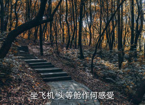 飞国际头等舱体验,买不到经济舱票只好坐头等舱!