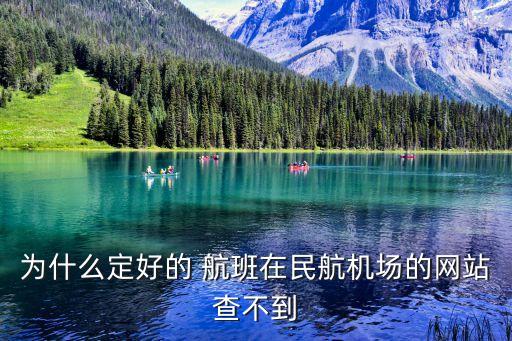 为什么定好的 航班在民航机场的网站查不到