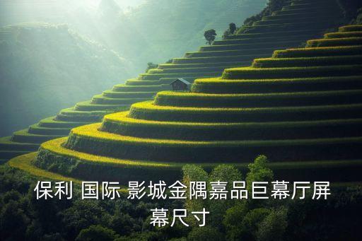  保利 国际 影城金隅嘉品巨幕厅屏幕尺寸