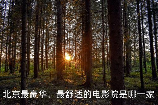 华星国际影城,星耀影城5号厅电影院比华星便宜一倍