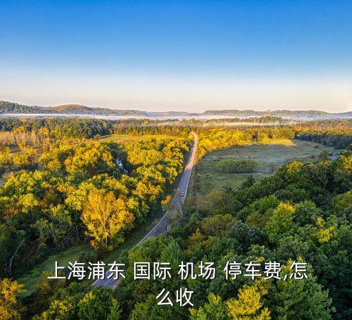  上海浦东 国际 机场 停车费,怎么收