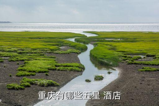 名豪国际酒店图片,按照五星级标准建造重庆大学喜来登酒店