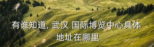 有谁知道, 武汉 国际博览中心具体 地址在哪里