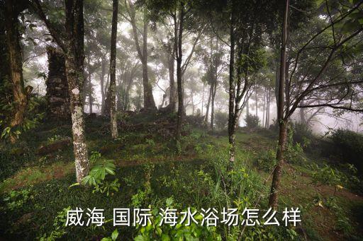 威海国际海水评价,最美海水推荐三亚海水清澈可见底层