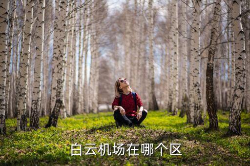 商丘白云国际图,广州白云国际机场位于花东镇与中心镇交界处