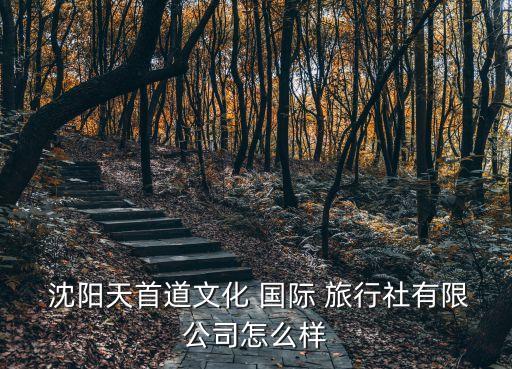 铁岭沈阳国际旅行社