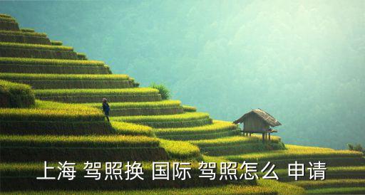 携程网怎么申请国际驾照,新加坡驾照怎么换国际驾照?