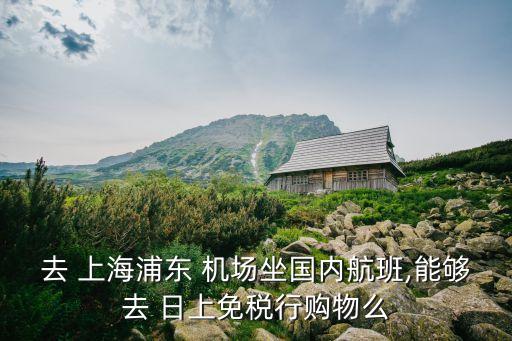 上海浦东国际机场日上折扣券,国内航班的登机口通道和国际不同