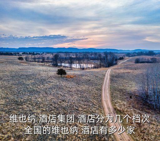 维也纳 酒店集团 酒店分为几个档次全国的维也纳 酒店有多少家