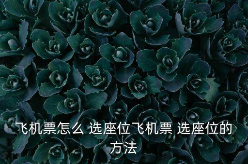飞机票怎么 选座位飞机票 选座位的方法