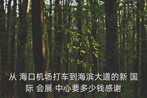 海口东站到国际会展中心,海口机场黑车很猖狂直接出口出租车