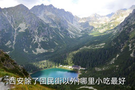 立丰国际有好玩的吗,回民街小吃比较多?