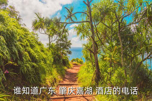 谁知道广东 肇庆嘉湖 酒店的电话
